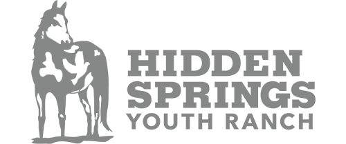 Hidden Springs Youth Ranch Every Idea Marketing