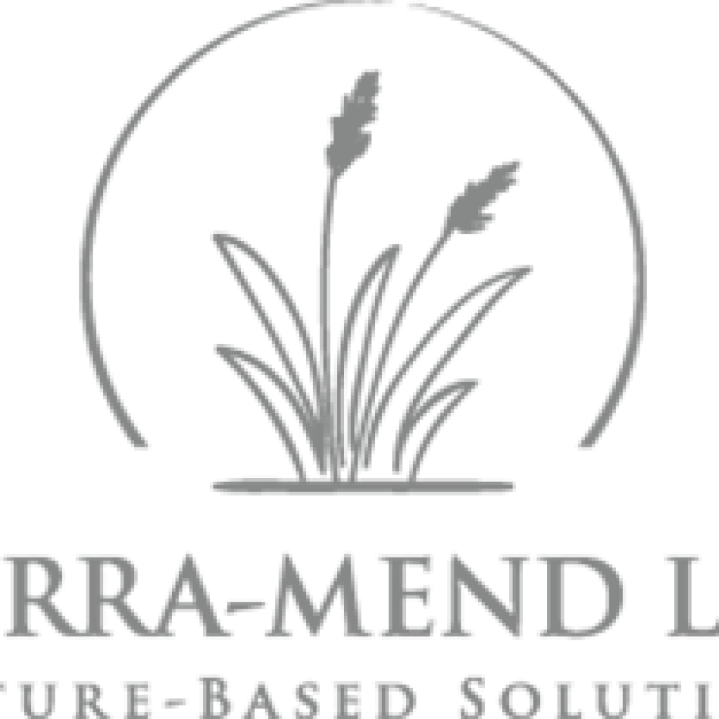 Terra-Mend Vallad Seed Logo